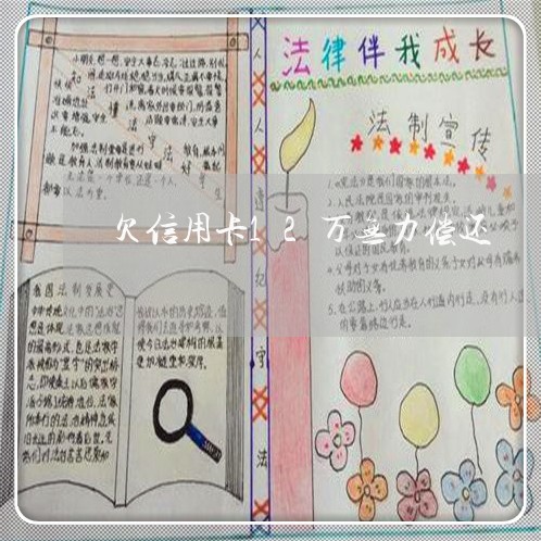 欠信用卡12万无力偿还/2023012178381