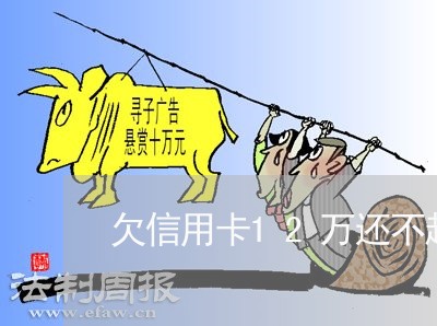 欠信用卡12万还不起怎么办 欠信用卡12万还不起怎么办