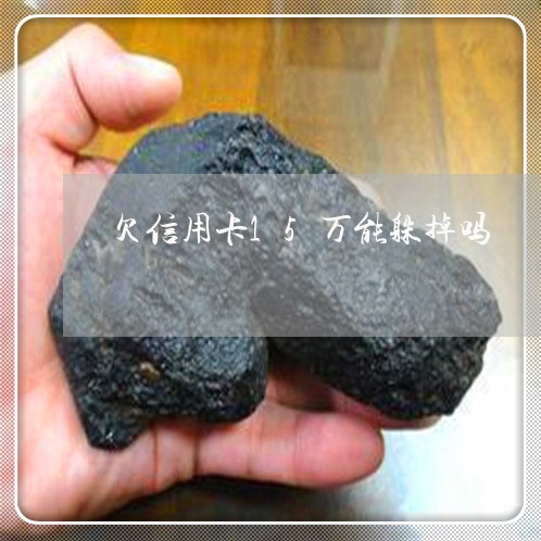欠信用卡15万能躲掉吗 欠信用卡15万能躲掉吗