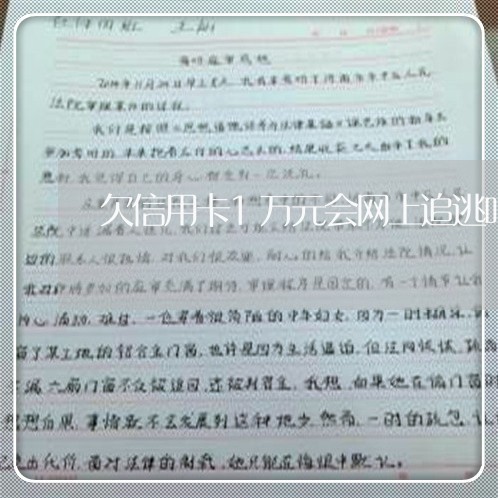 欠信用卡1万元会网上追逃吗 欠信用卡1万元会网上追逃吗