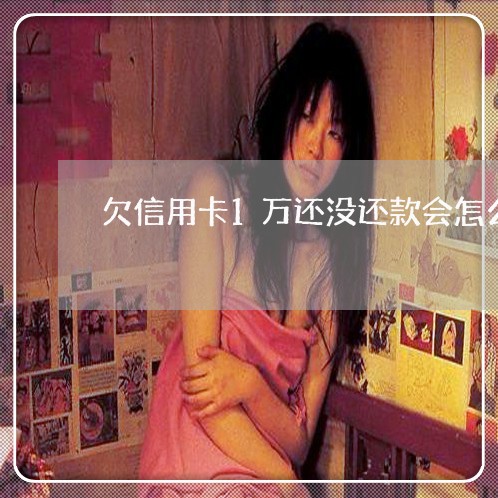 欠信用卡1万还没还款会怎么样 欠信用卡1万还没还款会怎么样