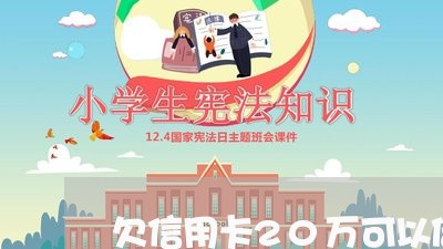 欠信用卡20万可以借贷吗