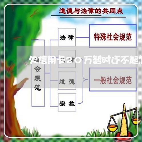 欠信用卡20万暂时还不起怎么办