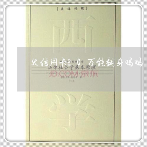 欠信用卡20万能翻身吗吗 欠信用卡20万能翻身吗吗