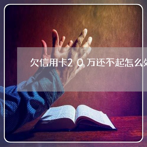 欠信用卡20万还不起怎么处理