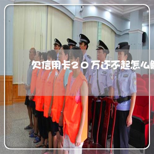 欠信用卡20万还不起怎么解决 欠信用卡20万还不起怎么解决