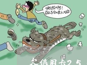 欠信用卡25万还可以贷款吗