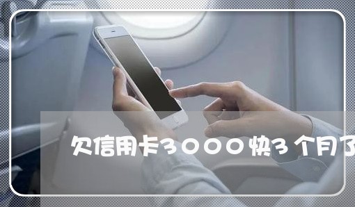 欠信用卡3000快3个月了