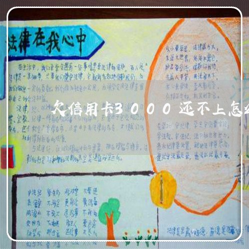 欠信用卡3000还不上怎么办/2023011994148