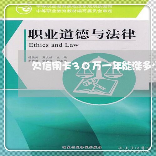 欠信用卡30万一年能涨多少 欠信用卡30万一年能涨多少