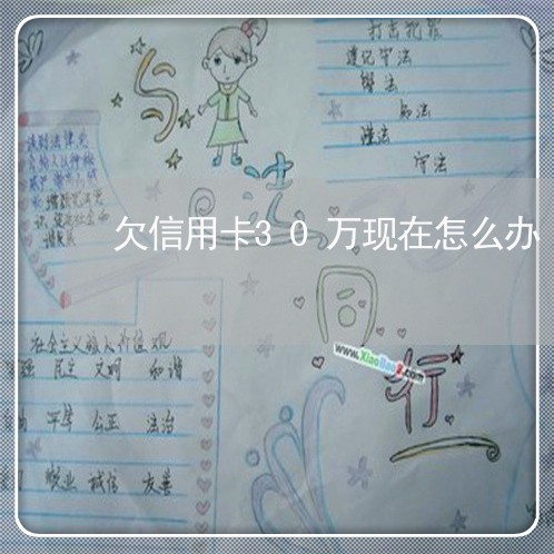 欠信用卡30万现在怎么办 欠信用卡30万现在怎么办