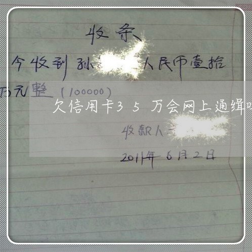 欠信用卡35万会网上通缉吗