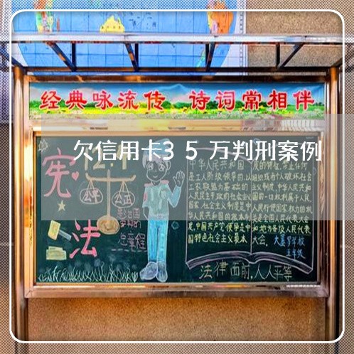 欠信用卡35万判刑案例 欠信用卡35万判刑案例