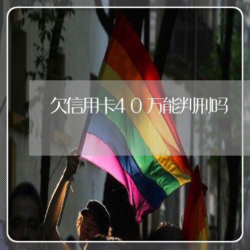 欠信用卡40万能判刑吗 欠信用卡40万能判刑吗