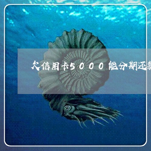 欠信用卡5000能分期还款