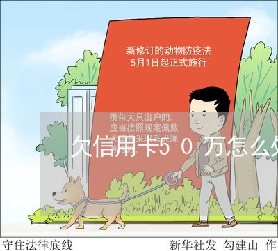 欠信用卡50万怎么处理