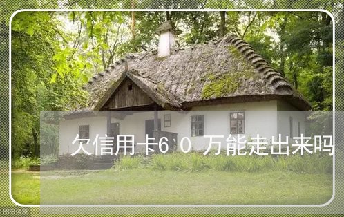 欠信用卡60万能走出来吗 欠信用卡60万能走出来吗