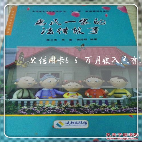 欠信用卡65万月收入只有1万 欠信用卡65万月收入只有1万