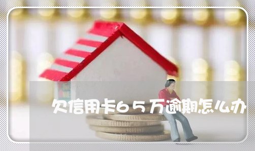 欠信用卡65万逾期怎么办