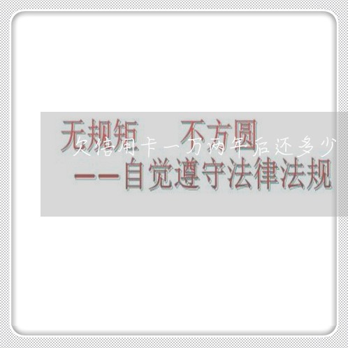 欠信用卡一万两年后还多少 欠信用卡一万两年后还多少