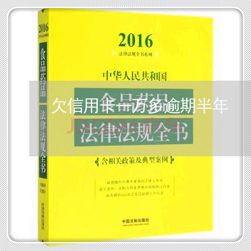 欠信用卡一万多逾期半年/2023061008260
