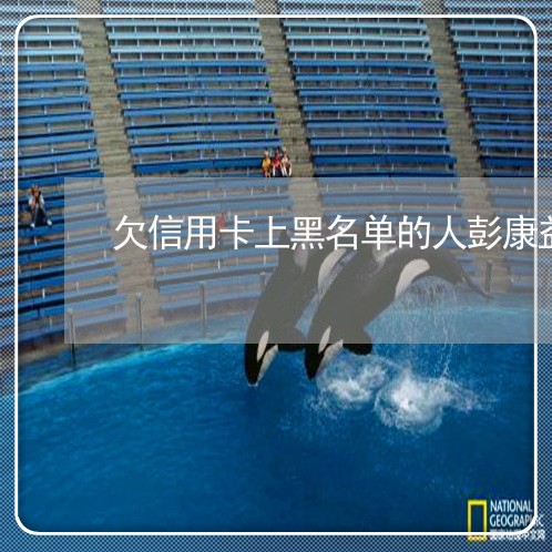 欠信用卡上黑名单的人彭康益