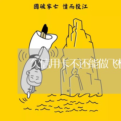 欠信用卡不还能做飞机吗 欠信用卡不还能做飞机吗