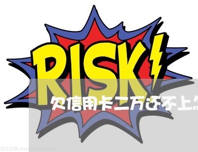 欠信用卡二万还不上怎么办呢/2023030155281 欠信用卡二万还不上怎么办呢/2023030155281