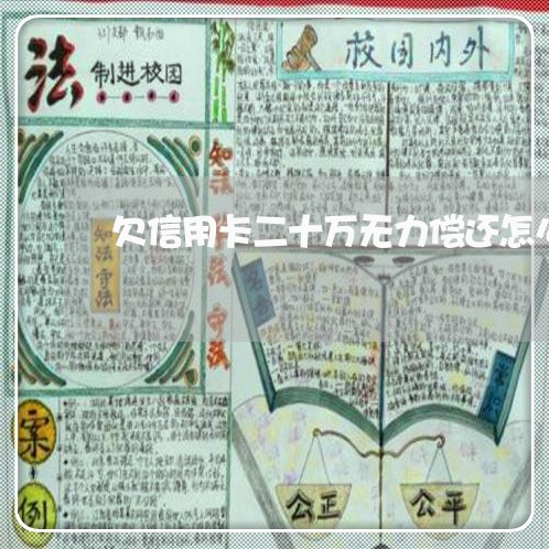 欠信用卡二十万无力偿还怎么办 欠信用卡二十万无力偿还怎么办