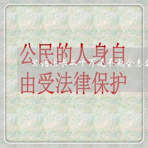 欠信用卡二十万还不起会怎么样 欠信用卡二十万还不起会怎么样