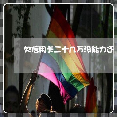 欠信用卡二十几万没能力还