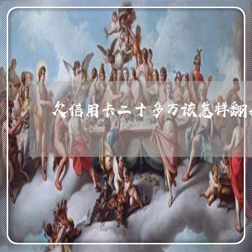 欠信用卡二十多万该怎样翻身啊 欠信用卡二十多万该怎样翻身啊