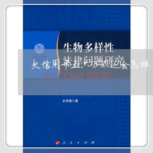 欠信用卡五六万不还会怎样 欠信用卡五六万不还会怎样