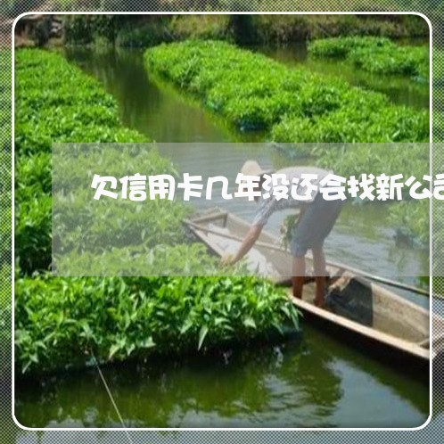 欠信用卡几年没还会找新公司吗