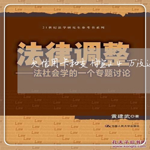 欠信用卡和支付宝24万没还