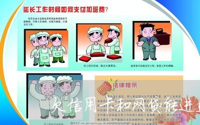 欠信用卡和网贷能进监狱吗