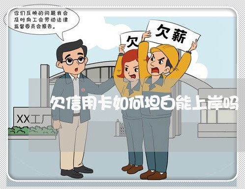 欠信用卡如何坦白能上岸吗 欠信用卡如何坦白能上岸吗
