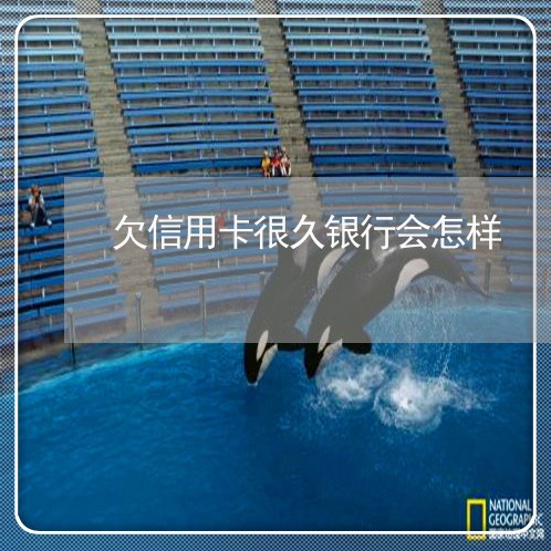 欠信用卡很久银行会怎样 欠信用卡很久银行会怎样