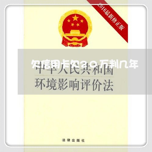 欠信用卡欠20万判几年