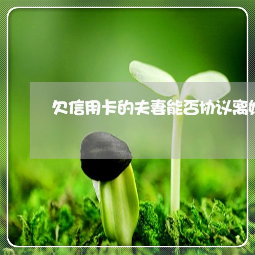 欠信用卡的夫妻能否协议离婚 欠信用卡的夫妻能否协议离婚