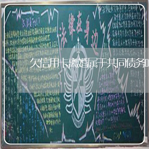 欠信用卡离婚属于共同债务吗 欠信用卡离婚属于共同债务吗