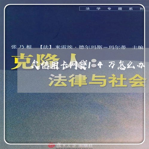 欠信用卡网贷14万怎么办 欠信用卡网贷14万怎么办