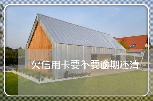 欠信用卡要不要逾期还清/2023011677258