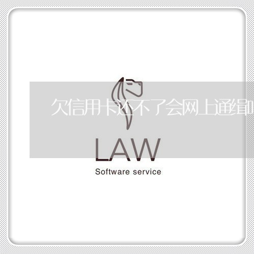 欠信用卡还不了会网上通缉吗