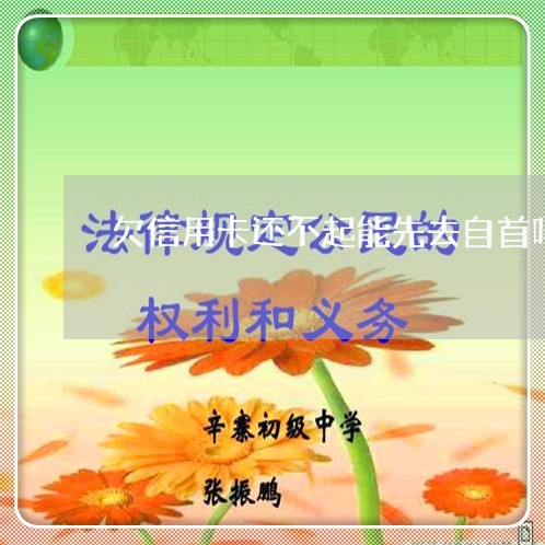 欠信用卡还不起能先去自首吗