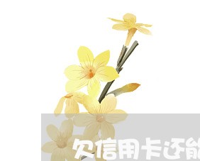 欠信用卡还能办个体户吗 欠信用卡还能办个体户吗