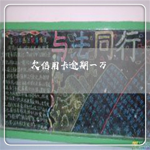 欠信用卡逾期一万/2023020416048