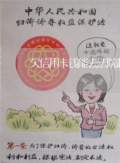 欠信用卡钱能去法院起诉吗 欠信用卡钱能去法院起诉吗