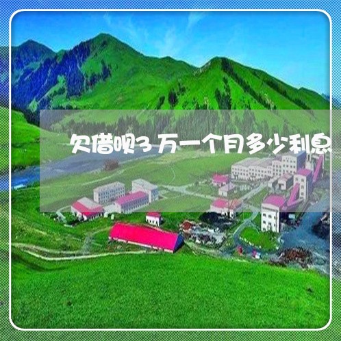 欠借呗3万一个月多少利息