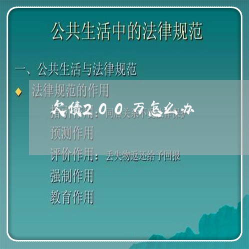 欠债200万怎么办/2023100751404